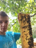 Пасека Николая Нехорошева