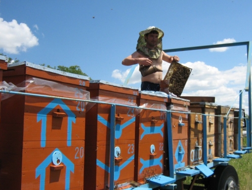 Пасека Киреевых